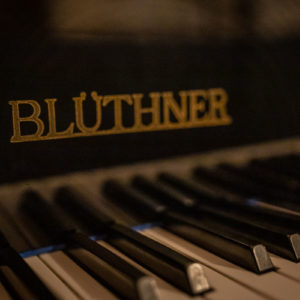 Bluethner