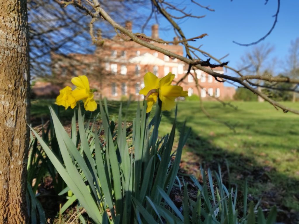 Spring at Finchcocks