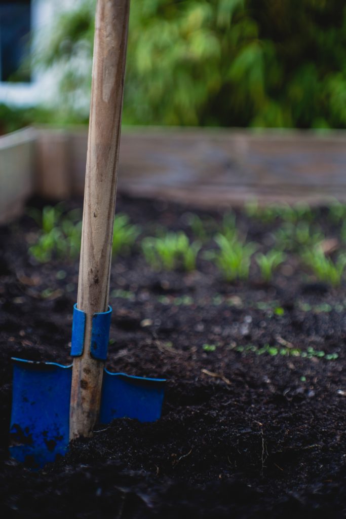 Selective focus photo of shovel on sand by Markus Spiske on Unsplash