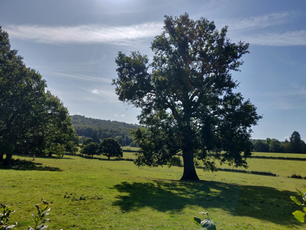 View of countryside surrounding Finchcocks