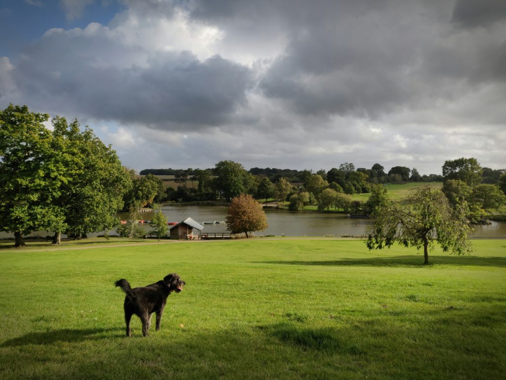 View of Dunorlan Park